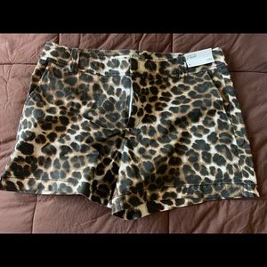 New York and Company Hampton Shorts Leopard Print